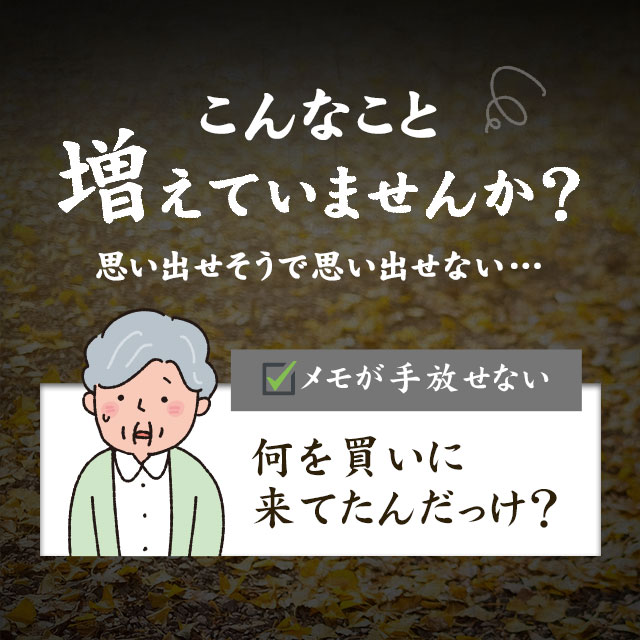 【機能性表示食品】イチョウ葉（約6ヶ月分）イチョウ葉 サプリメント サプリ いちょう イチョウ葉エキス イチョウサプリ 記憶力 の低下が気になる方に 送料無料 オーガランド supplement ポリフェノール フラボノイド ナイアシン パントテン酸 【半年分】 _JH