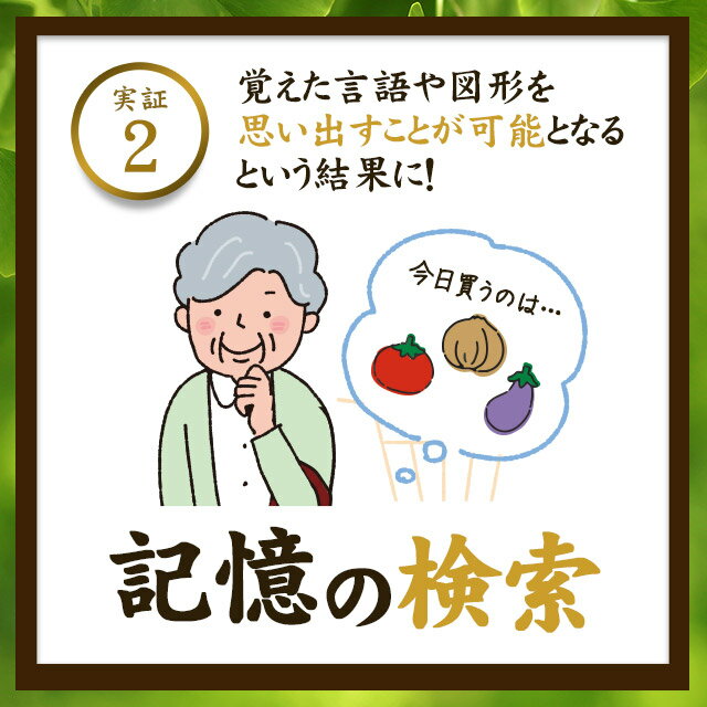 楽天市場 機能性表示食品 イチョウ葉 約3ヶ月分 サプリメント サプリ いちょう イチョウ葉エキス イチョウサプリ 記憶力 の低下が気になる方に 送料無料 オーガランド Supplement ポリフェノール フラボノイド ナイアシン パントテン酸 Jh サプリ専門店 オーガランド
