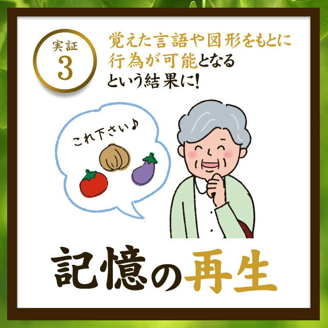 楽天市場 機能性表示食品 イチョウ葉 約3ヶ月分 サプリメント サプリ いちょう イチョウ葉エキス イチョウサプリ 記憶力 の低下が気になる方に 送料無料 オーガランド Supplement ポリフェノール フラボノイド ナイアシン パントテン酸 Jh サプリ専門店 オーガランド