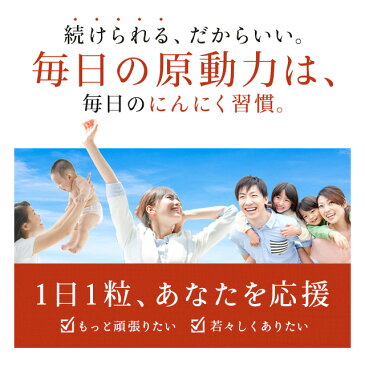 サプリメント にんにく卵黄 約6ヶ月分 送料無料 黒にんにく 黒ニンニク 青森県産 福地ホワイト六片 国産卵黄S-アリルシステイン 熟成黒にんにく ニンニク卵黄 スタミナ 元気 健康 オーガランド 【半年分】 _JH