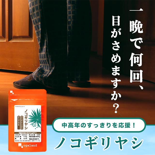 ノコギリヤシ(約1ヶ月分)のこぎりやし サプリ サプリメント トイレ習慣やボリュームが気になる方に ソーパルメット セレノア 亜鉛 _JH