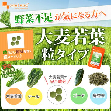 大麦若葉粒タイプ(約3ヶ月分)送料無料 サプリメント サプリ supplement 食物繊維 ビタミン ケール ゴーヤ 緑茶 青汁 ダイエット 美容 健康 ミネラル 野菜不足 国産 ogaland _MD2【M】 _B5