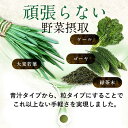 大麦若葉 粒タイプ（約3ヶ月分）送料無料 ダイエット 美容 健康 サプリメント サプリ 野菜不足 supplement 食物繊維 ビタミン ケール ゴーヤ 緑茶 青汁 ミネラル 国産 ogaland _MD2 _JD_JH_R1GP 2