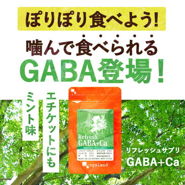 リフレッシュサプリ GABA + Ca（約3ヶ月分）送料無料 サプリメント サプリ ギャバ配合！ private brand カルシウム ogaland supplement オーガランド 人気に訳あり _JB_JD_JH