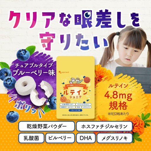 ルテインジュニア(3個セット・約3ヶ月分)送料無料 子供用 子ども用 子ども サプリ キッズ サプリメント ブルーベリー味 野菜 栄養 目薬の木 デジタルケア ブルーライト 自然由来 DHA 乳酸菌 フローラ オーガランド