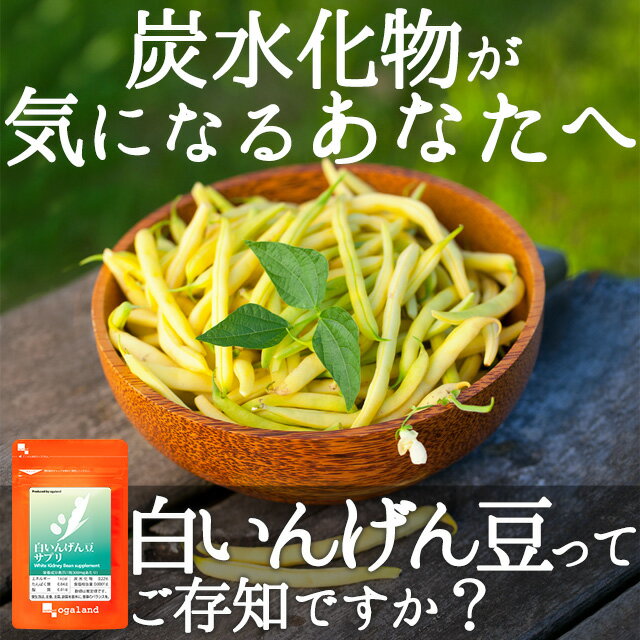 白いんげん豆サプリ（約1ヶ月分）送料無料 サプリメント サプリ ダイエットサプリ 白インゲン豆 ファビノール 糖質カット 炭水化物 桑の葉 オーガランド 【M】 _JB_JD_JH_ZRB