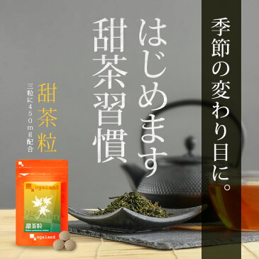 甜茶粒（約3ヶ月分） 送料無料 サプリメント サプリ 甜茶 グアバ葉 シソ葉 柿葉 配合 ポリフェノール ルブサイド 健康茶 【M】 _JH_C4