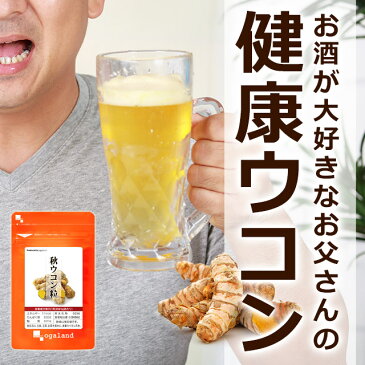 秋ウコン粒（約1ヶ月分）お試し◆今週の100円サプリ◆ サプリ サプリメント 期間限定 ポイント消化 オーガランド 企画 100円 お一家族様1個まで 美容 健康 限定商品 _在管