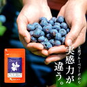 ブルーベリー(約1ヶ月分) 送料無料 サプリ サプリメント ...