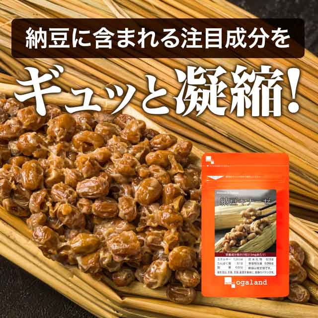 納豆キナーゼ（約1年分） 送料無料 サプリメント サプリ 納豆菌 ナットウキナーゼ 健康 大豆 エイジングケア 生活習慣 納豆 納豆粉末 ナットウキナーゼ オーガランド ダイエット 大容量 福袋 【1年分】 _A10_JB_JH