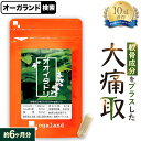 オオイタドリ(約6ヶ月分)大痛取 ヒアルロン酸 送料無料 サプリメント サプリ 運動時のサポートに! グルコサミンとの相性◎ogaland オーガランド 健康 ...