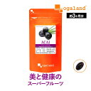 アサイー+ノニ 300mg × 120粒健康食品 タブレット サプリメント サプリ アサイー ノニ 栄養機能食品 ビタミンA 日本 日本健康食品