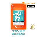 アンセリンカプセル（約1ヶ月分）送料無料 プリン体 が気になる方に お酒 クエン酸 ナイアシン パントテン酸カルシウム サプリメント サプリ ビタミンB アルコール 偏食 健康 美容 ダイエット オーガランド_JH