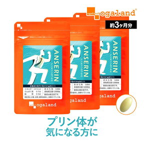 アンセリン カプセル（約3ヶ月分）プリン体 が気になる方に お酒 クエン酸 ナイアシン パントテン酸カルシウム サプリメント サプリ ビタミンB アルコール 偏食 健康 美容 ダイエット オーガランド_JH