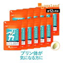 アンセリン カプセル（約12ヶ月分）大容量 送料無料 プリン体 が気になる方に お酒 クエン酸 ナイアシン パントテン酸カルシウム サプリメント サプリ ビタミンB アルコール 偏食 健康 美容 ダイエット オーガランド_JH