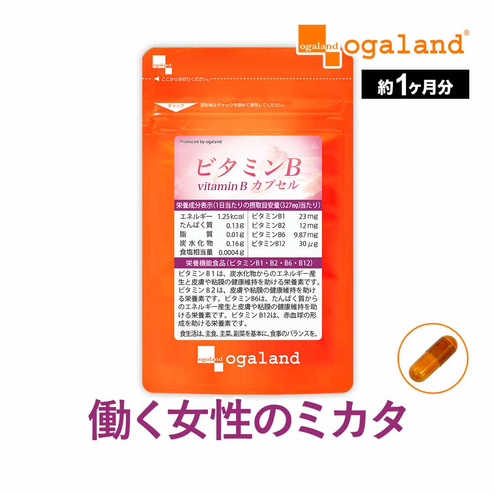 ビタミンB カプセル（約1ヶ月分）送料無料 ビタミンB配合 美容 ビタミンM 葉酸 サプリメント サプリ キレイ と健康 のベースアップに！ 美容 トラブル に 健康 ダイエット _JB_JH