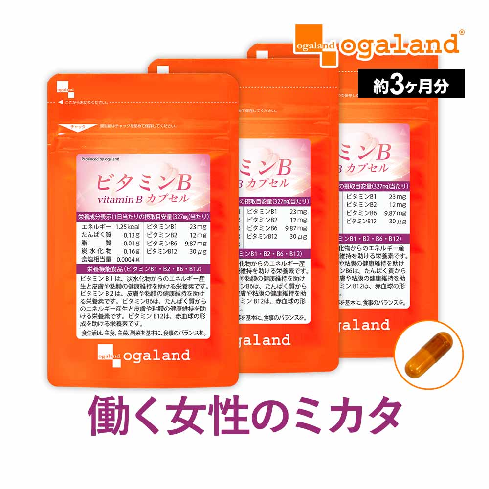 ビタミンB カプセル 約3ヶ月分 送料無料 ビタミンB 葉酸 ビタミンM イノシトール 配合 ビタミン サプリ サプリメント キレイ と 健康 のベースアップに 美容トラブル に 健康 ダイエット_JB_JH