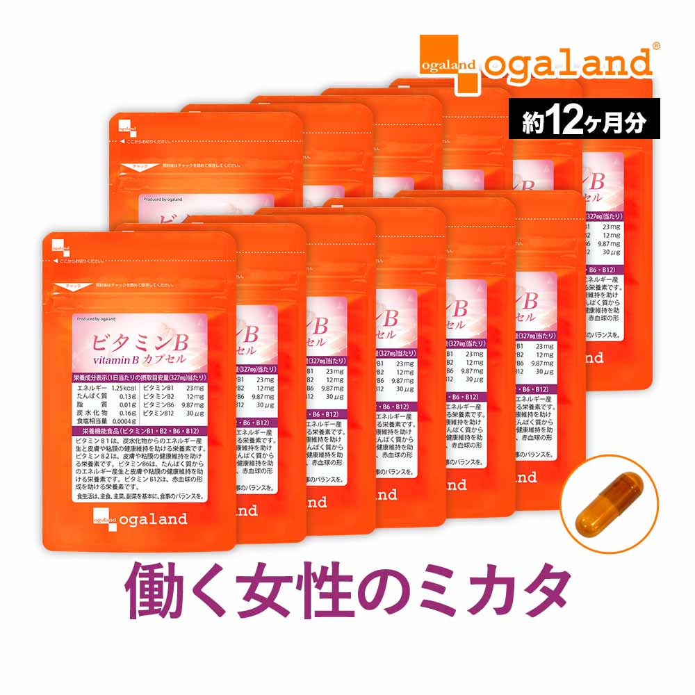 ビタミンB カプセル（約12ヶ月分）送料無料 葉酸 ビタミンM ビタミンB イノシトール 配合 ビタミン サプリ サプリメント 健康 ダイエット 通販 大容量 【1年分】 _JB_JH