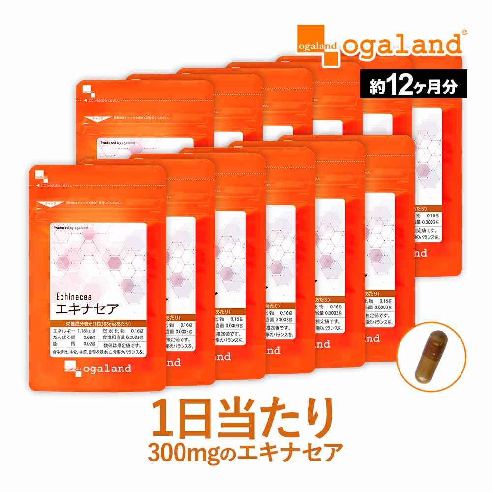 エキナセア（約12ヶ月分）送料無料 サプリメント サプリ ハーブ 元気 季節 健康 菊 オーガランド 【1年分】ビタミンC バイオぺリン も配合 _JH ポイント消化 送料無 ポイント消費 送料無料