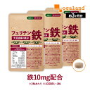【新発売】 フェリチン鉄 (約3ヶ月分) 鉄分 サプリ 栄養機能食品 鉄 貯蔵鉄 オーガランド 女性 亜鉛 銅 葉酸 ビタミンB6 ビタミンB12 非ヘム鉄 小粒 1粒に5mg 高吸収 有機 やさしい 大豆由来 ドリンクより手軽に サプリメント