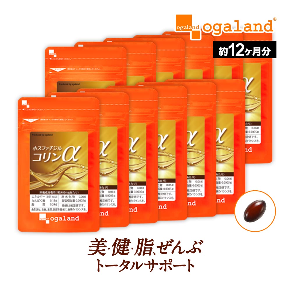 ホスファチジルコリンα（約12ヶ月分）サプリメント サプリ ダイエット ホスファチジルコリン イノシト..