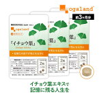 【機能性表示食品】イチョウ葉（約3ヶ月分）サプリメント サプリ いちょう イチョウ葉エキス イチョウサプリ 元気 若々しく 送料無料 オーガランド supplement ポリフェノール フラボノイド ナイアシン パントテン酸 _JH