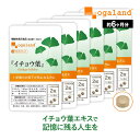 【機能性表示食品】イチョウ葉（約