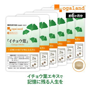 【機能性表示食品】イチョウ葉（約6ヶ月分）イチョウ葉 サプリメント サプリ いちょう イチョウ葉エキス イチョウサプリ 若々しく 送料無料 オーガランド フラボノイド ナイアシン パントテン酸 【半年分】 _JH