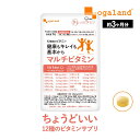 【リニューアル】【栄養機能食品】マルチビタミン（約3ヶ月分）食事で不足 野菜不足ビタミンd ビタミンM 葉酸 ダイエット 美容 健康 サプリメント サプリ 送料無料 オーガランド 12種 の ビタミン 配合 気持ち の バランス 偏食 口コミ 低価格 気になる方に 男性 女性