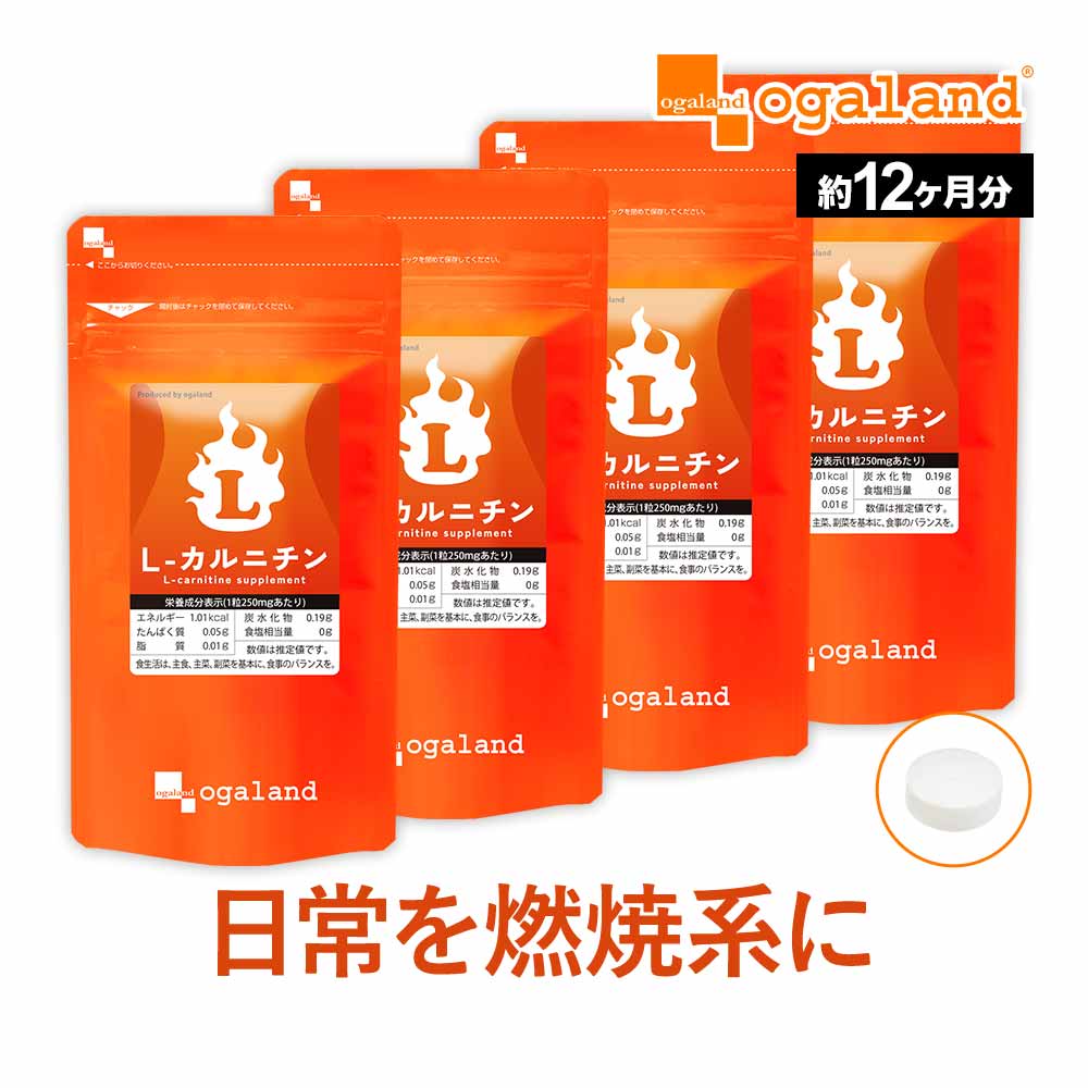 L-カルニチン（約12ヶ月分）燃焼系 ダイエット Lカルニチン 配合。 送料無料 サプリ サプリメント BCAA..