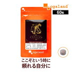 クラチャイダム（60粒）送料無料 元気がほしい 男性 に！自信を持ちたい方に！若々しく！クラチャイダム オーガランド サプリ サプリメント 黒ショウガ アルギニン アスパラギン酸 BCAA アミノ酸 健康 【メンズ】 _JH