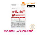 血管と血圧（約1ヶ月分）機能性表示食品 1日1粒 血圧 サプリ サプリメント 血管 柔軟性 高めの 血圧 低下 カツオ由来 エラスチン GABA ギャバ 健康 血圧 が高めの方に オーガランド gaba の サプリメント