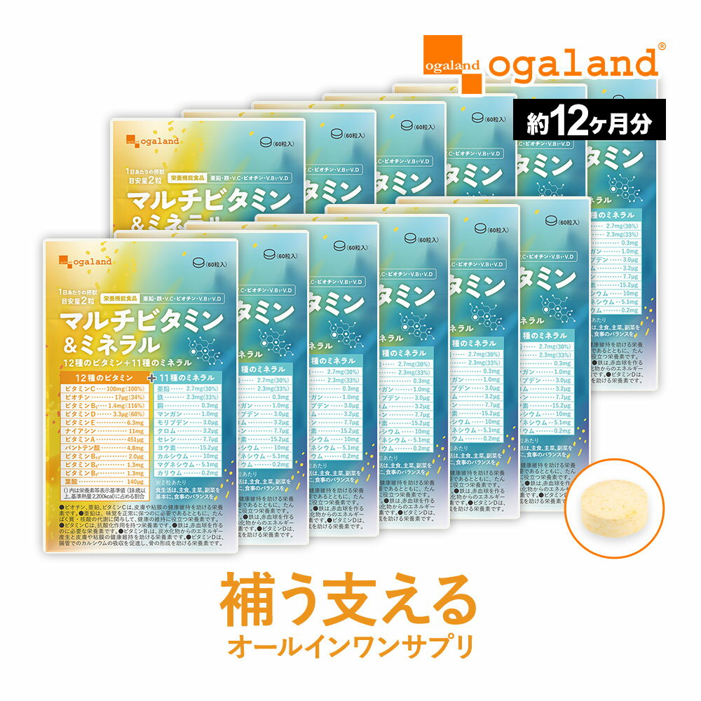 マルチビタミン＆ミネラル（約12ヶ月分）送料無料 ビタミンC サプリ ビオチン ビタミンB1 ビタミンD ビタミンE ナイアシン ビタミンA サプリメント ミネラル 葉酸 亜鉛 鉄 銅 マンガン カルシウム マグネシウム カリウムのサムネイル