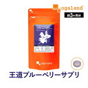 ビルベリー ブルーベリー 30日分 | アクシージア ヴィーナスレシピ ベリーアイ 25.8g（1包2粒860mg×30包）AXXZIA ビーナスレシピ 公式