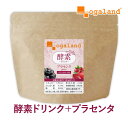 【新発売】酵素ドリンク プラセンタ plus+ 80g～ 送料無料 人気 ファスティング プラセンタ ザクロ カシス 自然由来 自然発酵 植物性 乳酸菌 黒酢 白砂糖不使用 簡単 アレンジ ヨーグルト スム…