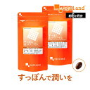 すっぽん&コラーゲン(約6ヶ月分)送料無料 サプリメント サプリ 美容 人気 の コラーゲン鍋 「すっぽん」 必須アミノ酸 や ビタミン ミネラル類 が豊富 若...