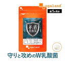 【新発売】矛と盾乳酸菌(R)（約1ヶ月分～）新商品 新発売 乳酸菌 サプリ さぷり 1兆個 以上 2種類 レジスト乳酸菌 シールド乳酸菌 善玉菌 オリゴ糖 水溶性 食物繊維 ビタミン びたみん 菌活 健康 美容 ダイエット オーガランド サプリメント おすすめ オススメ 国内製造