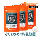 矛と盾乳酸菌(R)(約3ヶ月分)乳酸菌 サプリ 1兆個 以上 2種類 レジスト乳酸菌 シールド乳酸菌 善玉菌 オリゴ糖 水溶性 食物繊維 ビタミン びたみん 菌...