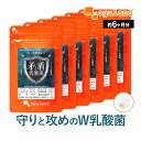 矛と盾乳酸菌(R)(約6ヶ月分)乳酸菌 サプリ 1兆個 以上 2種類 レジスト乳酸菌 シールド乳酸菌 善玉菌 オリゴ糖 水溶性 食物繊維 ビタミン びたみん 菌...