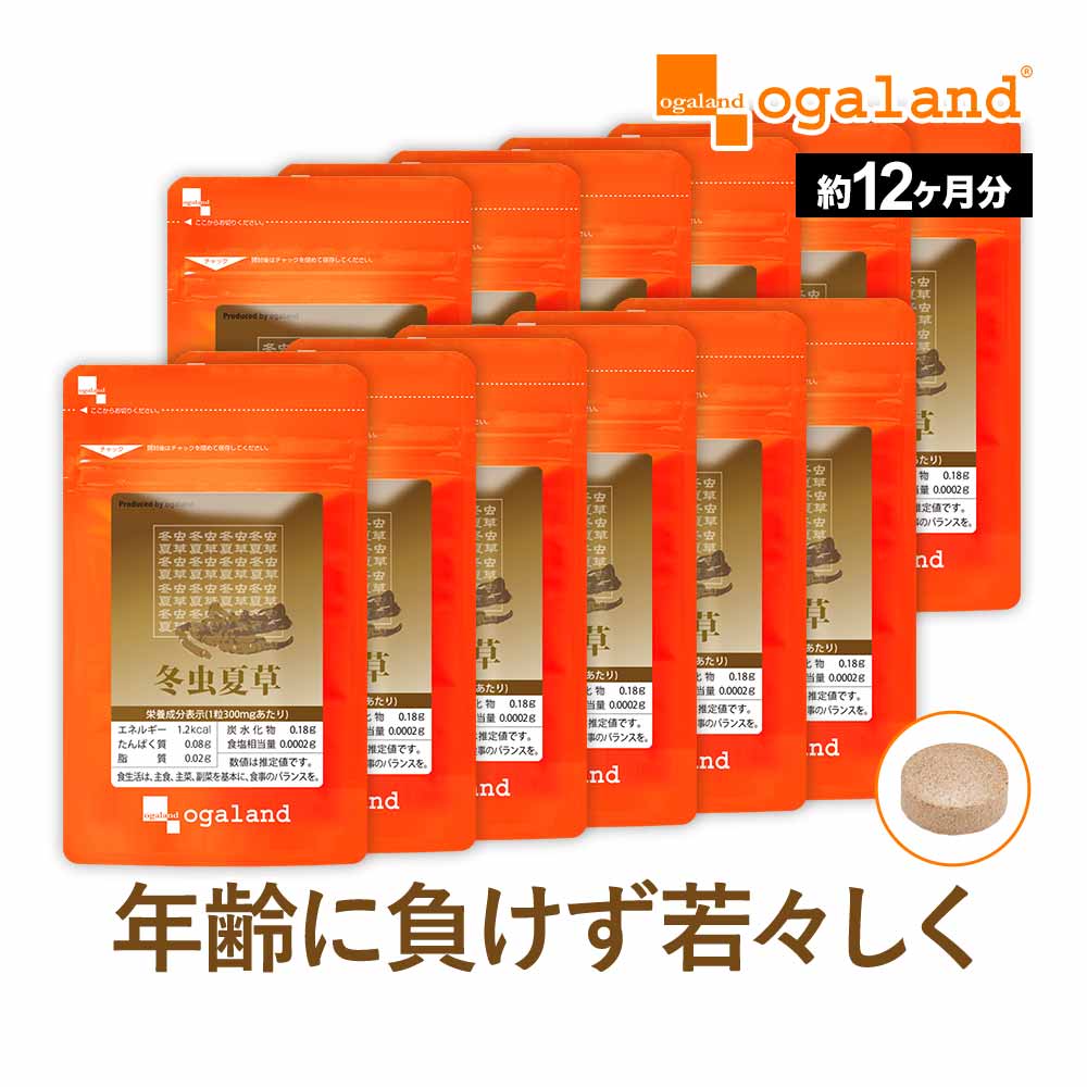 冬虫夏草（約12ヶ月分）大容量 送料無料 サプリメント サプリ 冬虫花草 健康 オーガランド supplement アミノ酸 生活…