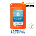W低分子ヒアルロン酸&コラーゲン(約1ヶ月分)ヒアルロン酸 コラーゲン 送料無料 サプリ サプリメント オーガランド