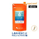 W低分子ヒアルロン酸&コラーゲン（約3ヶ月分）美容 サプリ 送料無料 サプリメント オーガランド 乾燥 する季節に 化粧水 ドリンク よりも手軽 若々しく_JB_JH