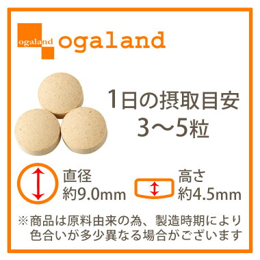 クリックして拡大