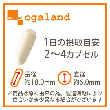 粒画像(クリックで拡大)W低分子ヒアルロン酸&コラーゲン