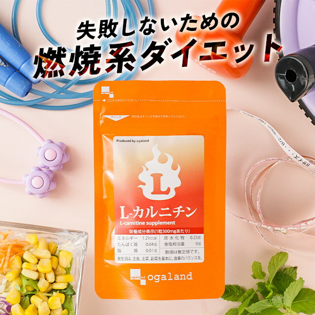 L-カルニチン（約12ヶ月分）燃焼系 ダイエット Lカルニチン 配合。 送料無料 サプリ サプリメント BCAA アミノ酸 や α-リポ酸 や コエンザイムQ10 と併用◎ 美容 女性 l-カルニチンフマル酸塩 オーガランド 低価格【1年分】 _JD