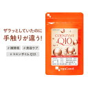 小林製薬 コエンザイムQ10α-リポ酸L-カルニチン 60粒【送料無料】
