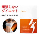 【ダイエット話題】コレウスフォルスコリ（約1ヶ月分） 送料無料 サプリメント サプリ ダイエット イヌリン 食物繊維 フォルスコリ 燃焼系 オーガランド ogaland ネット 通販 【M】 _JD