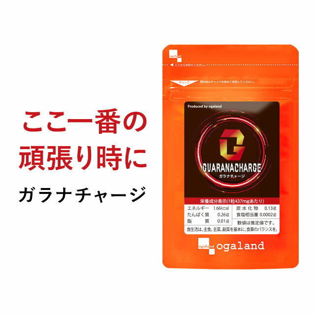 ガラナチャージ（12個セット）ガラナ末 Lアルギニン カフェイン 低糖質 低カロリー エナジードリンク の 代わりに 送…