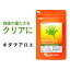 キダチアロエ粒（約3ヶ月分）アロエ アロエサプリ 送料無料 健康 や 美容 に 化粧水 、ヨーグルト などの食品に使われる アロエ を飲みやすい粒に サプリメント キダチアロエ サプリ オーガランド _JH