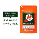 柿渋カテキン（約12ヶ月分）送料無料 サプリメント サプリ ニオイ 香り エチケット ポリフェノール 制汗剤 香水 柿渋石鹸 香水 健康 ヘルス 石鹸 せっけん 大容量  _JB_JH